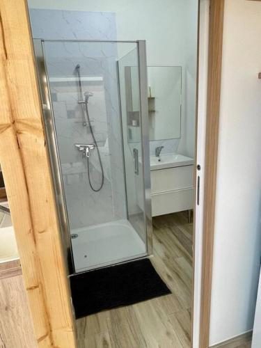 une douche en verre dans une salle de bain avec un lavabo dans l'établissement Studio indépendant 4 personnes, à Pisany