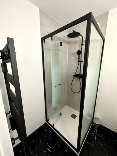 une douche avec une porte vitrée dans une salle de bain dans l'établissement Appartement St-Malo Intramuros, à Saint-Malo
