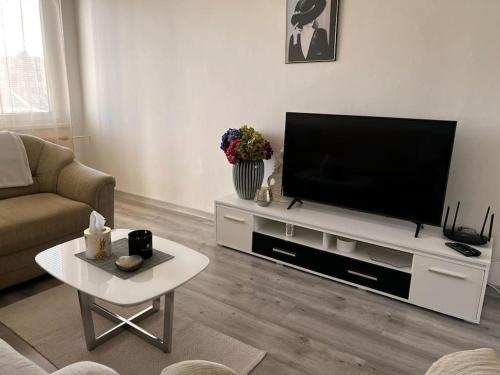 TV a/nebo společenská místnost v ubytování Bright and Comfy Apartment with Free Parking