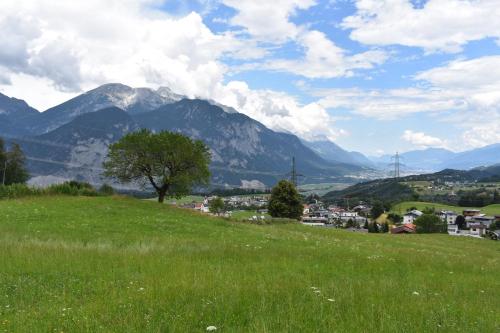 a green field with a tree and mountains in the background at Hotel Kleißl in Oberperfuss