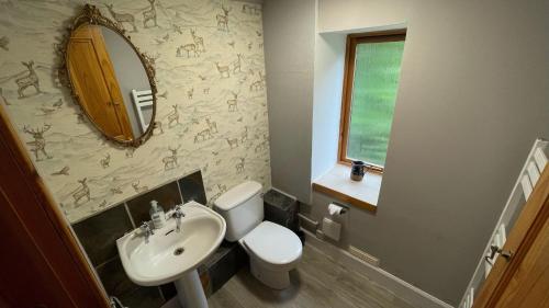 a bathroom with a sink and a toilet and a mirror at Kerrowdown Cottage-Self Catering for 4 in the Highlands in Drumnadrochit