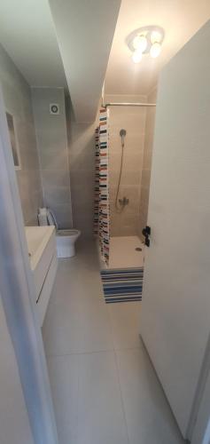 a bathroom with a shower and a sink and a toilet at meda's apartament in Floreşti