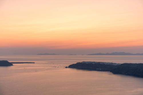 a group of birds standing in the water at sunset at Serendipity Cliffside Villa & Suites in Imerovigli