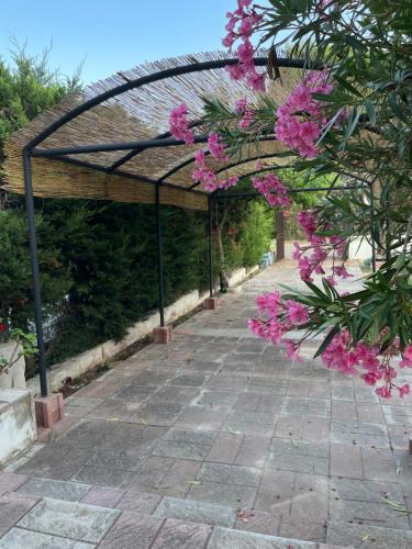 a pergola with pink flowers hanging from it at Holiday Home Eurovillage in Torre Lapillo