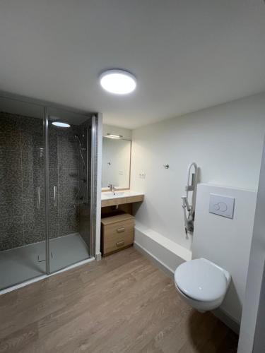 een badkamer met een douche, een toilet en een wastafel bij Cosy Diem Quai Vallière in Narbonne