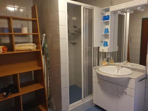 a bathroom with a shower and a sink at Apartments Rauter in Annenheim