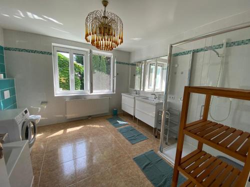W łazience znajduje się prysznic i żyrandol. w obiekcie Little Paradise in the Center of Baden near Vienna w mieście Baden