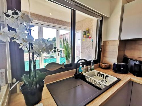 un comptoir de cuisine avec un évier et une fenêtre dans l'établissement T2 au calme-vue mer et baie de Collioure-Garage, à Collioure