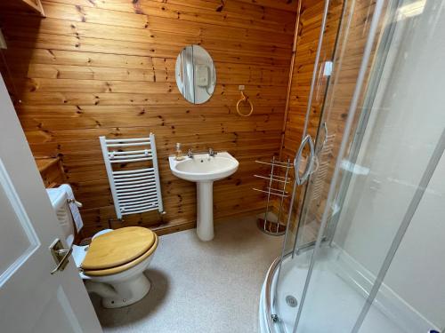 a bathroom with a toilet and a sink and a shower at Glanywerydd Cottage in Barmouth