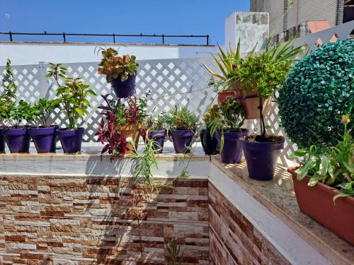 Atico Duplex Marques de Reyes photo 7