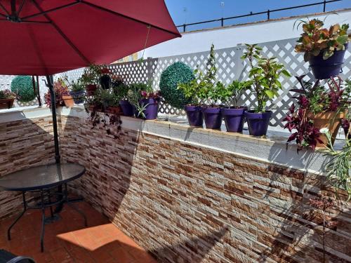 Atico Duplex Marques de Reyes photo 8