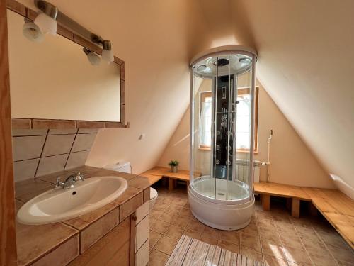 een badkamer met een glazen douche en een wastafel bij Wynajem Pokoi-Dom Sw Stanislawa in Zakopane