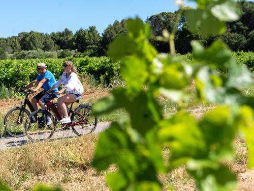 Joli studio vue Mont Saint Clair, parking, ménage et linge de lit inclus