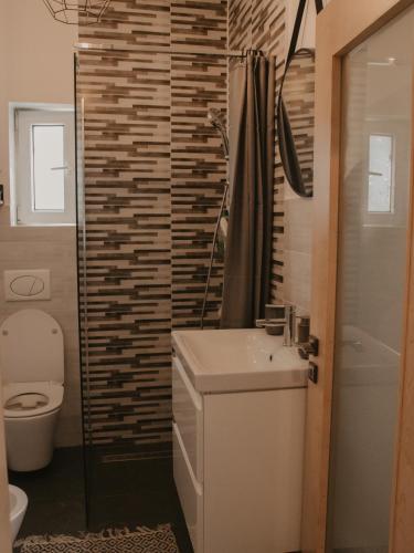 a bathroom with a sink and a toilet at HomyHouse in Sibiu