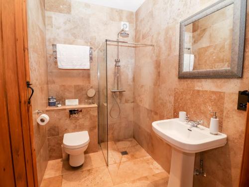 a bathroom with a shower and a toilet and a sink at Mistal Cottage in Husthwaite