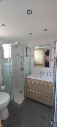 uma casa de banho com um chuveiro, um WC e um lavatório. em location maison de vacances jusqu'à 6 personnes près du port et de la plage em Le Barcarès