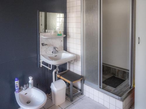 uma casa de banho com um lavatório, um chuveiro e um WC. em Nautica Jansen em Maastricht