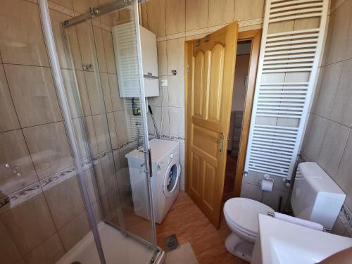a bathroom with a toilet and a glass shower at Apartment Anabella in Fažana