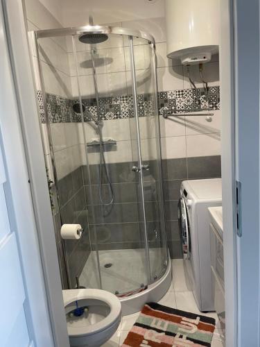 ein Bad mit einer Dusche und einem WC in der Unterkunft Apartament Reszel in Reszel