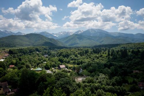 an aerial view of a valley with mountains at Evergreen Chalet in Avrig