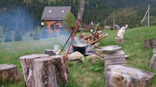 a fire pit with a dog standing in a field at Kozichky Guest House in Tatariv