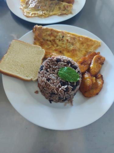 a white plate of food with a plate of food at Estación Biológica Las Cruces y Jardín Botánico Wilson in San Vito