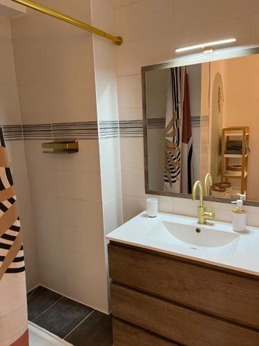een badkamer met een wastafel en een spiegel bij Terra Residence - Superbe, calme et lumineux in Thonon-les-Bains