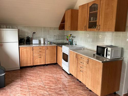 Küche/Küchenzeile in der Unterkunft Biloba Apartmanok