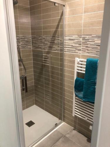 La salle de bains est pourvue d'une douche et d'une serviette bleue. dans l'établissement Location appart 5 chambres, 5 SDB - TUAMOTU - 8 pers, au Bourget-du-Lac