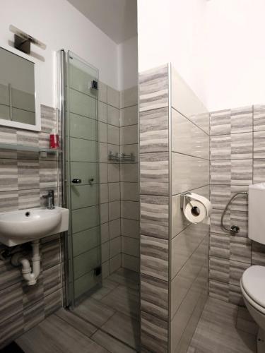 a bathroom with a shower and a sink and a toilet at Studio Marjetica in Zgornje Gorje