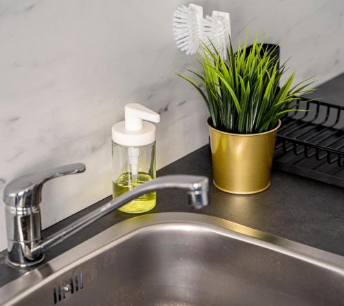 a sink with a faucet and a plant on a counter at City Loft - 5 Min Rhein-Galerie in Ludwigshafen am Rhein