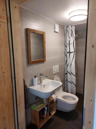 a bathroom with a sink and a toilet and a mirror at Drosera cabane et roulotte in La Chaux-du-Milieu