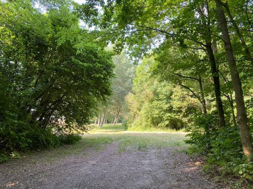 a dirt road with trees on either side at krabbenkreek 2 in Sint Annaland