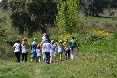 a group of people walking in a field at Monte Chalaça - Turismo Rural in Ferreira do Alentejo