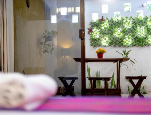 Pokój ze stołem i roślinami na ścianie w obiekcie Casa Fundadores w mieście Valladolid