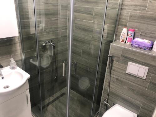 Koupelna v ubytování Apartman 555