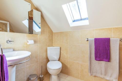 a bathroom with a toilet and a sink and a window at Miller's Lodge in Liskeard