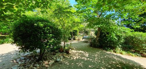 a garden with trees and rocks in a yard at Aux berges du pont du gard in Vers Pont du Gard