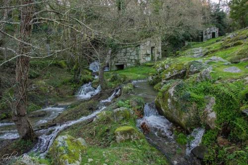 a stream of water flowing down a hill with trees at Mar de Covelo in Pontevedra