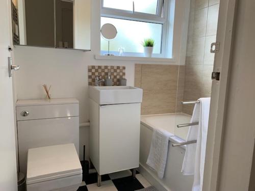 a bathroom with a sink and a toilet and a window at 3 Bedroom Town House in Central Muswell Hill London in London