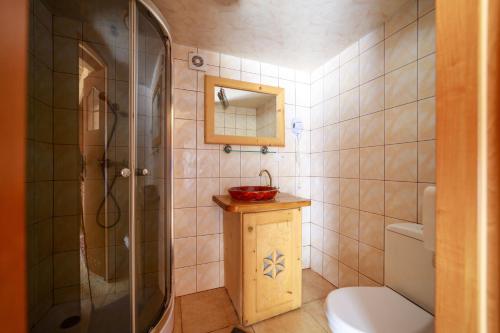 Domki Burego w Białce Tatrzańskiej في بيالكا تاترزانسكا: حمام مع دش ومرحاض ومغسلة