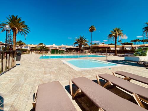 una piscina con 2 tumbonas y palmeras en Click&Guest - Casa Queer, en Maspalomas