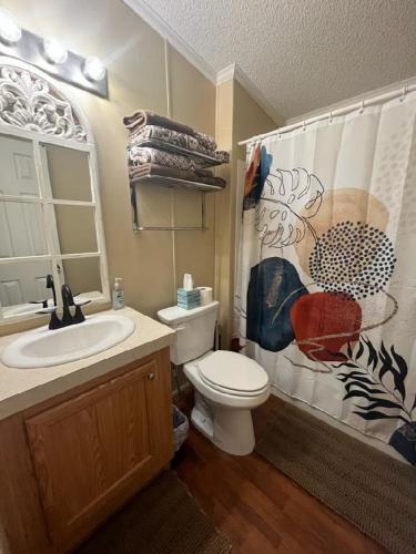 a bathroom with a toilet and a sink and a shower curtain at Hidden Gem on the Tracks in Montgomery