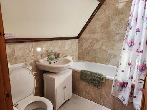 ein Badezimmer mit einem WC, einem Waschbecken und einer Badewanne in der Unterkunft The Old School Caeathro, Snowdon, Eryri and Yr Wydffa Cottages in Caernarfon