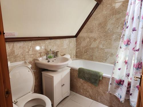 a bathroom with a toilet and a sink and a bath tub at The Old School Caeathro, Snowdon, Eryri and Yr Wydffa Cottages in Caernarfon