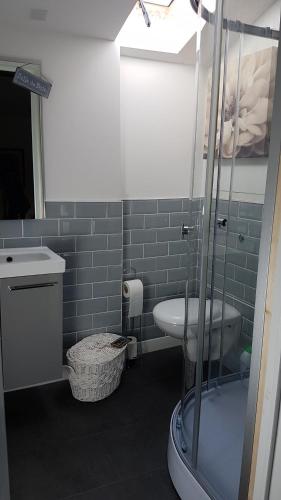 a bathroom with a shower and a toilet and a sink at Le Barry in Mouzon