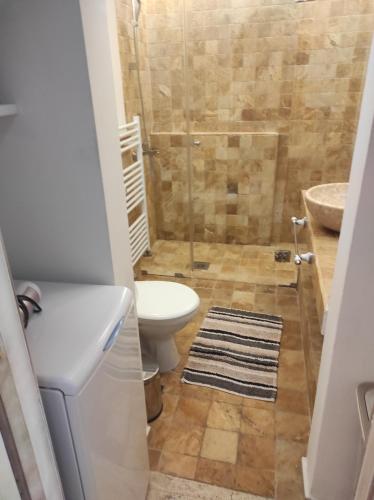 La salle de bains est pourvue d'une douche, de toilettes et d'un lavabo. dans l'établissement Apartment Petrovac, à Petrovac na Moru
