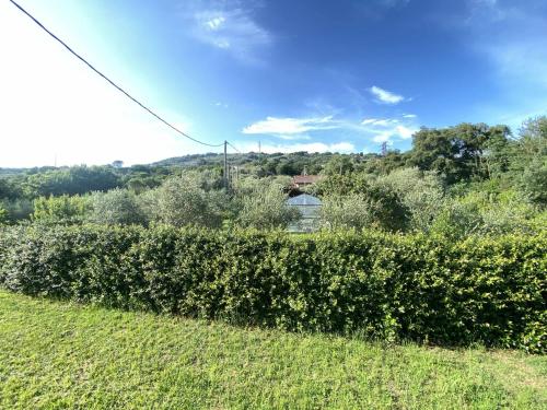 a field of bushes with a house in the background at Casa Di Campagna tra borghi e castelli in Borgo a Buggiano