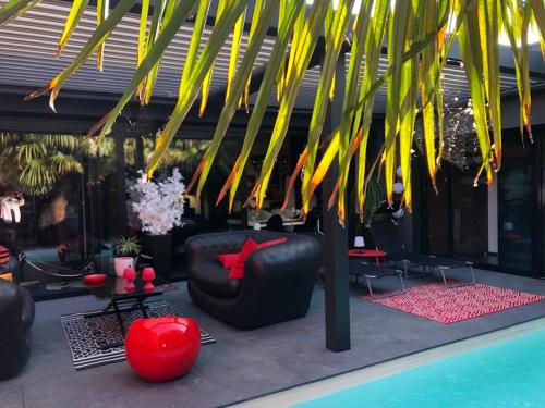 a patio with a black chair and a palm tree at La Maison Courtois in Cholet