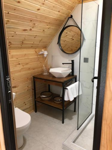 bagno con lavandino, specchio e servizi igienici di WOOD HOUSE LAGODEKHI a Lagodekhi